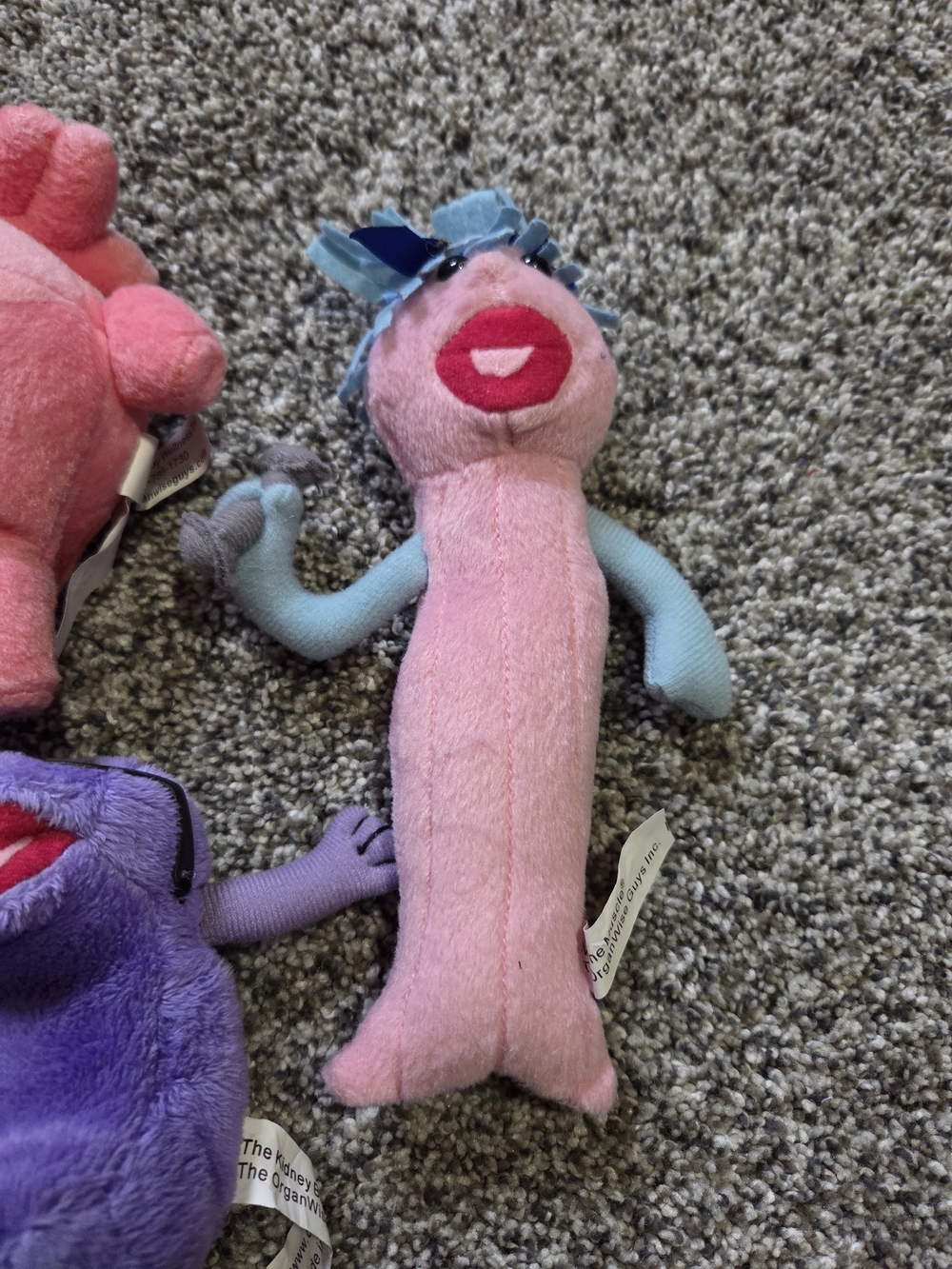 The OrganWise Guys Stuffed Toys Educational Plush Toys Lot Of 8 - Picture 6 of 11